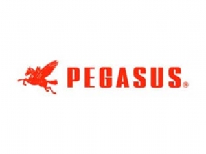 Pegasus